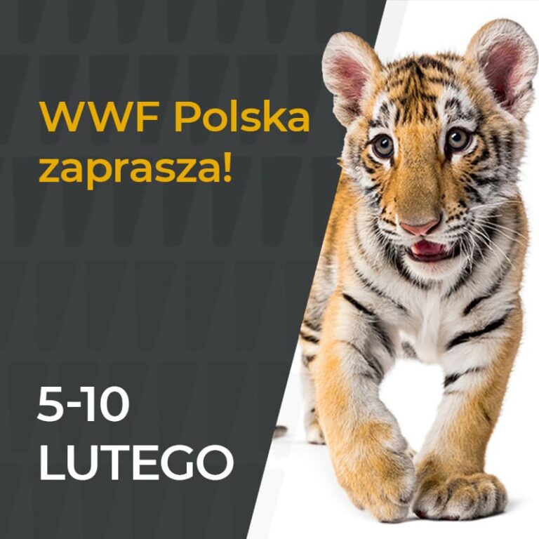 WWF Polska zaprasza!