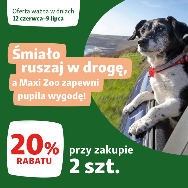 Wycieczki z psem?